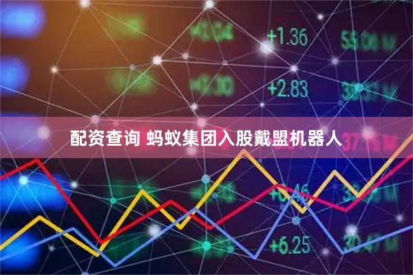 配资查询 蚂蚁集团入股戴盟机器人